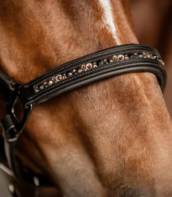 Waldhausen Halfter><noscript><img width=