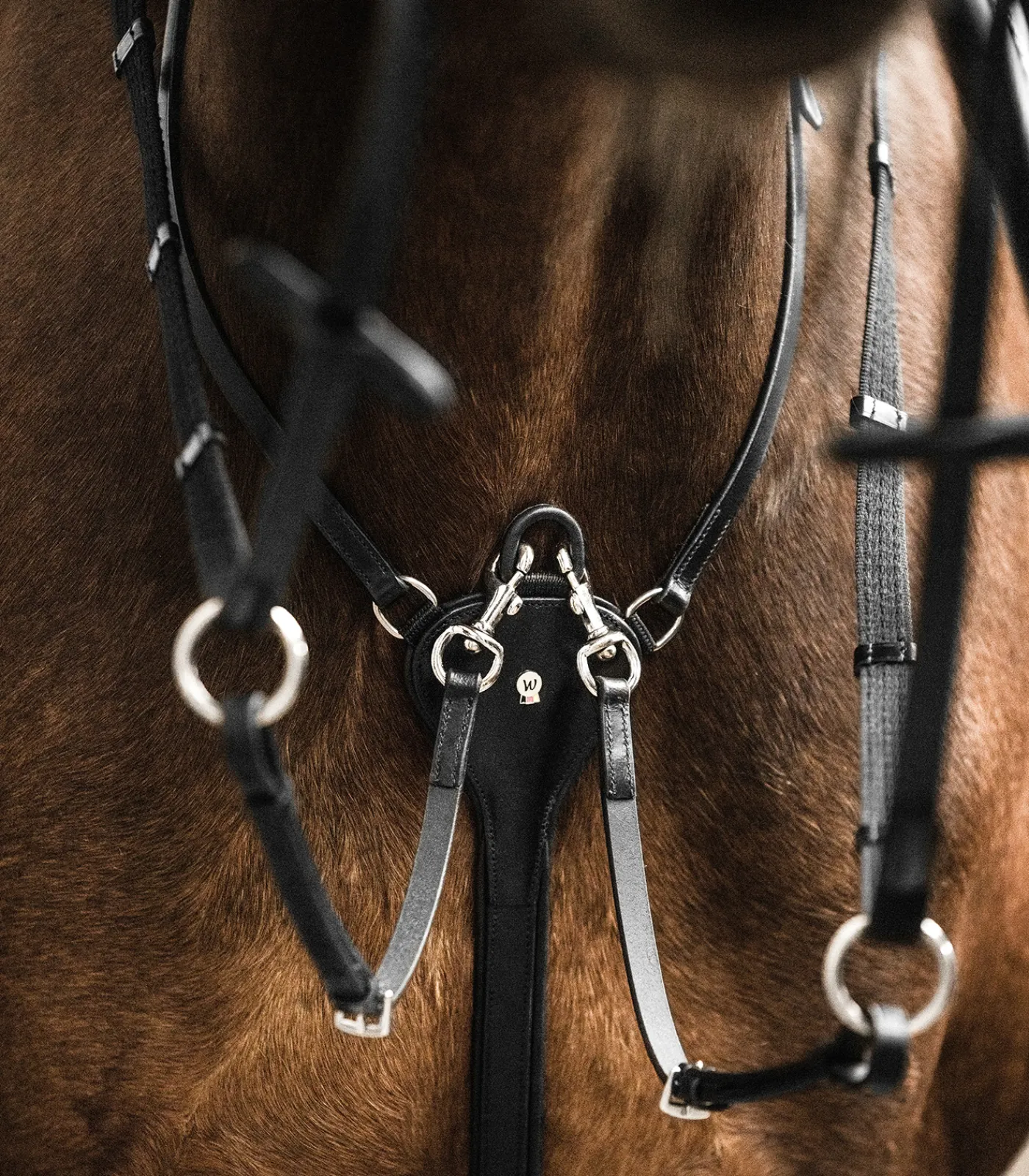 Waldhausen Martingal>X-Line Martingal Professional