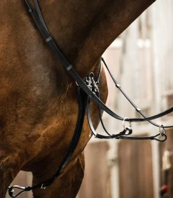 Waldhausen Martingal><noscript><img width=