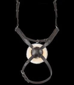 Waldhausen Trensenzäume><noscript><img width=