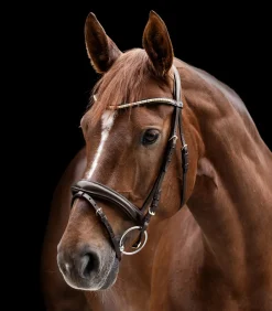 Waldhausen Trensenzäume></noscript>X-Line Trensenzaum Clincher