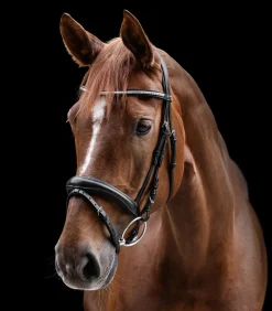 Waldhausen Trensenzäume></noscript>X-Line Trensenzaum Clincher