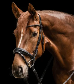 Waldhausen Trensenzäume></noscript>X-Line Trensenzaum Favourite