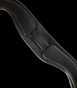 Waldhausen Trensenzäume><noscript><img width=