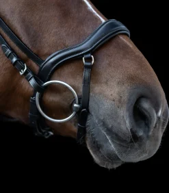 Waldhausen Western|Trensenzäume><noscript><img width=