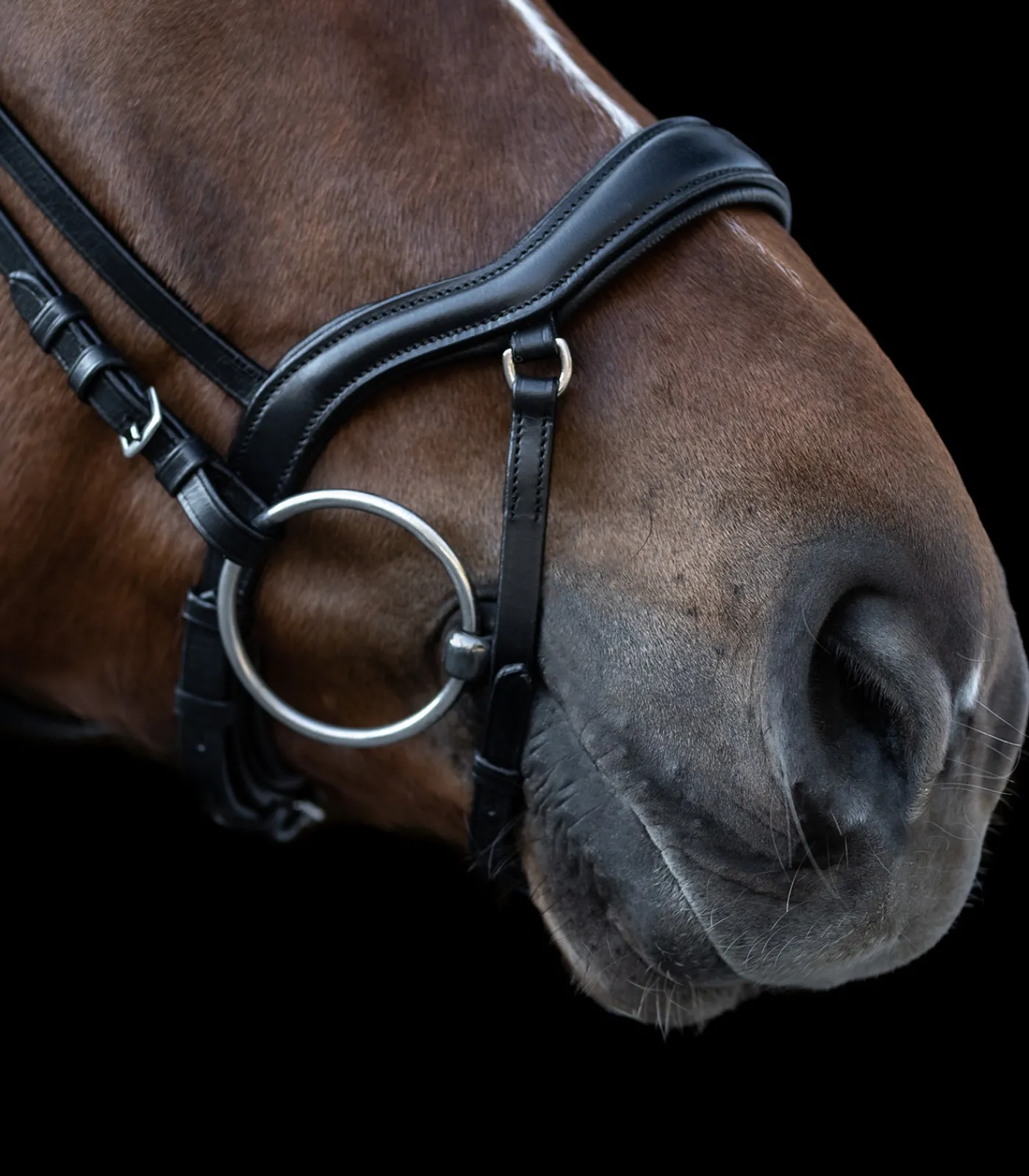 Waldhausen Western|Trensenzäume>X-Line Trensenzaum New Shape II