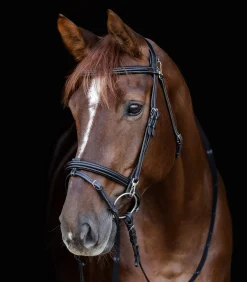 Waldhausen Trensenzäume><noscript><img width=