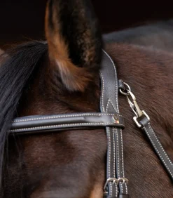 Waldhausen Trensenzäume><noscript><img width=