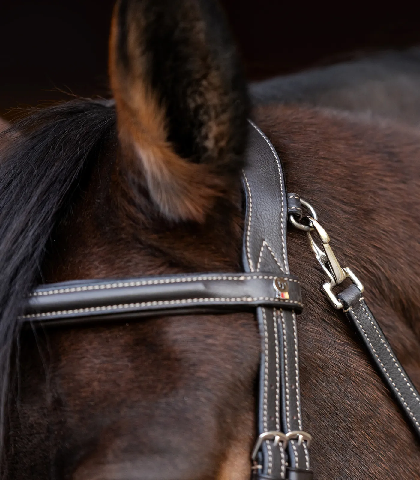 Waldhausen Trensenzäume>X-Line Trensenzaum Work