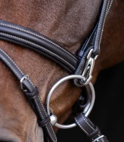 Waldhausen Trensenzäume><noscript><img width=