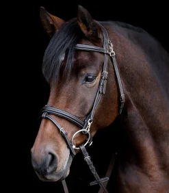 Waldhausen Trensenzäume><noscript><img width=