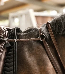 Waldhausen Vorderzeug></noscript>X-Line Vorderzeug Professional