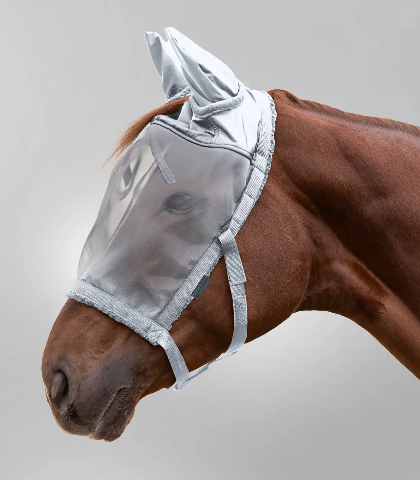 Waldhausen Weide|Fliegenmasken Und -Fransen>Weidehalfter mit Fliegenmaske