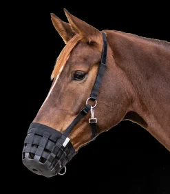 Waldhausen Weide|Pony & Shetty>Weide-Maulkorb